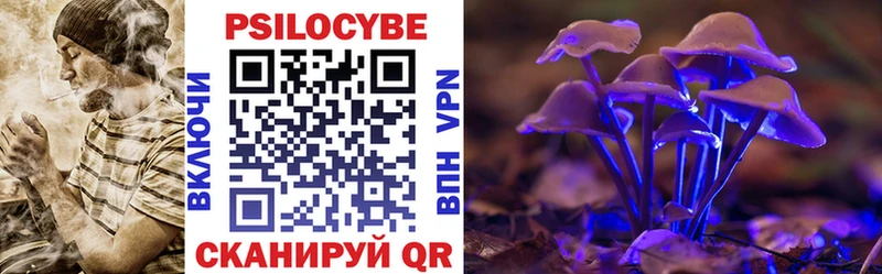 Псилоцибиновые грибы Psilocybe  Купить где  Алзамай 
