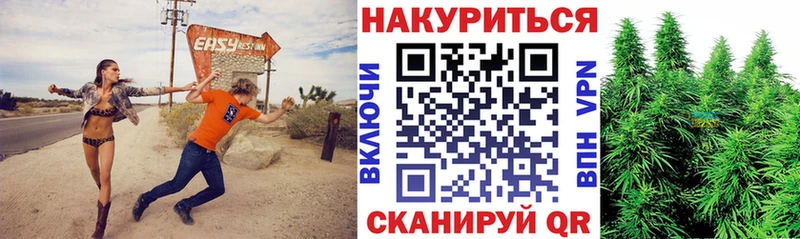 Каннабис ГИДРОПОН  Купить где  Алзамай 